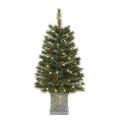 Maquina 3 ft. Full Hard Needle Artificial Porch Tree with Light MA3009350